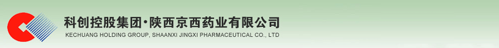 陜西京西藥業(yè)有限公司
