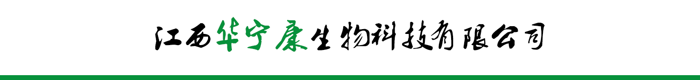 �����A��������Ƽ����޹�˾