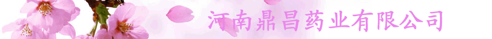 河南鼎昌藥業(yè)有限公司