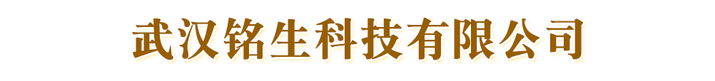 武漢銘生科技有限公司