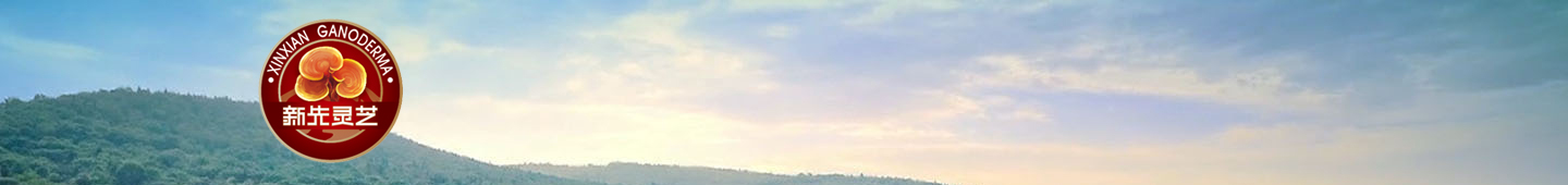 江蘇新先制藥有限公司