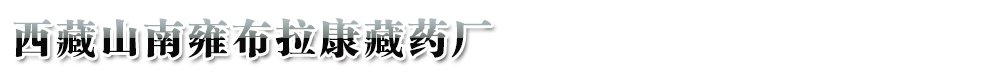 西藏山南雍布拉康藏藥廠