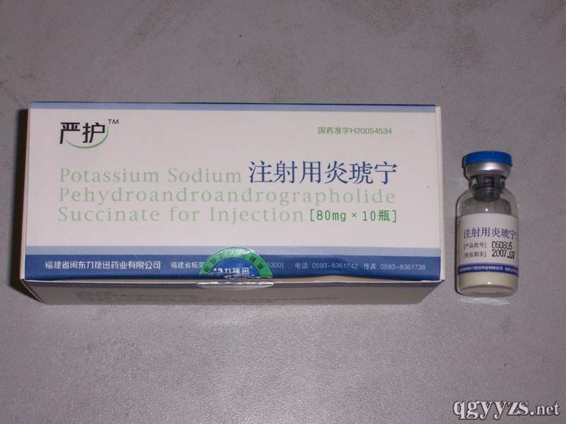 ע����������