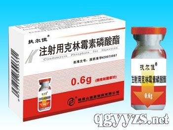 扶爾佳(注射用克林霉素磷酸酯)
