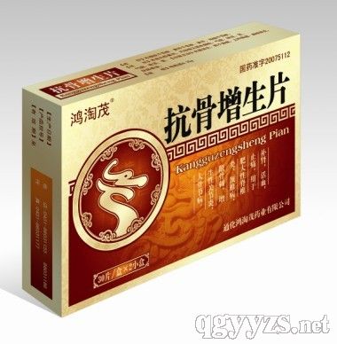 ��������Ƭ