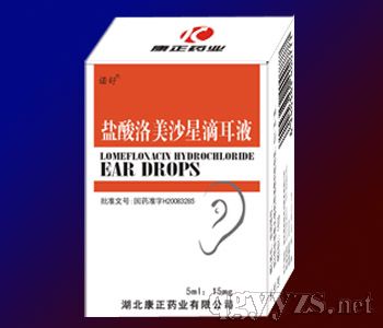 鹽酸洛美沙星滴耳液