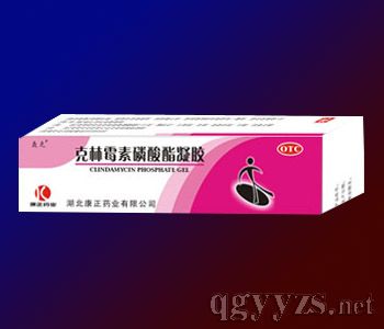 克林霉素磷酸酯凝膠/OTC