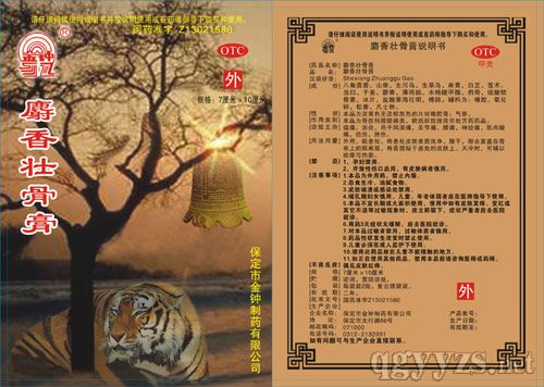 麝香壯骨膏(風濕用藥)