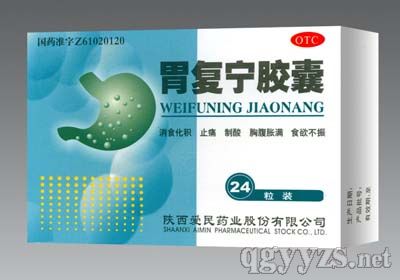 胃復(fù)寧膠囊