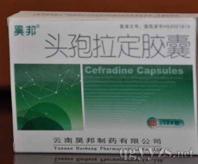 頭孢拉定膠囊