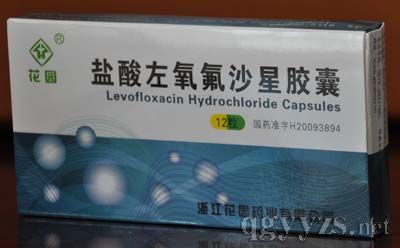 鹽酸左氧氟沙星膠囊(花園)
