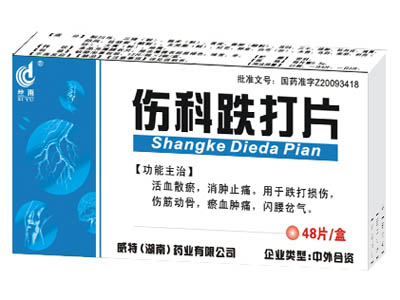 傷科跌打片48片