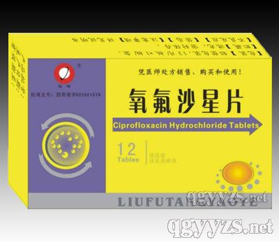 ����ɳ��Ƭ