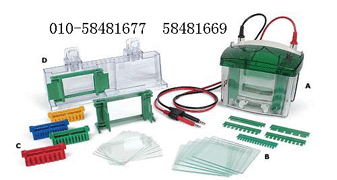 ����(gu��)Bio-rad����(l��)�Ӿ�x/�Ӿ��/�Դ���D(zhu��n)�Ʋۮa(ch��n)Ʒ�DƬ