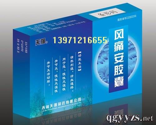 風(fēng)痛安膠囊