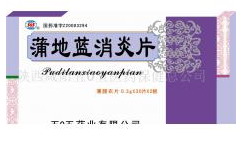 �ѵ��{����Ƭ