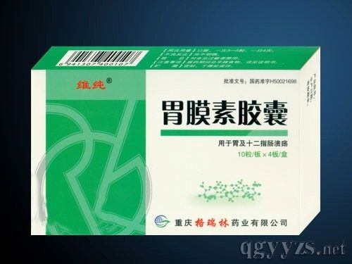 胃膜素膠囊(地方醫(yī)保)