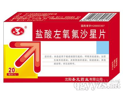 鹽酸左氧氟沙星片(0.1g*20T*400盒)