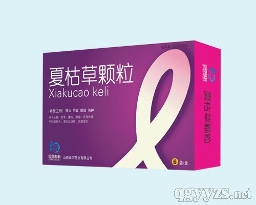 �Ŀݲ��w��--[09�������t(y��)�����D������(n��i)���ڿơ��И�(bi��o)]