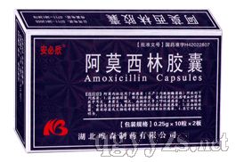 ��Ī�����z��