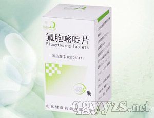 �������Ƭ