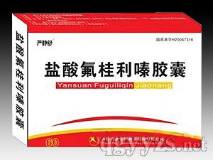 鹽酸氟桂利嗪膠囊