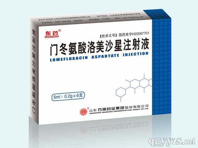 門冬氨酸洛美沙星注射液