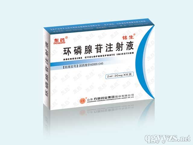 環(huán)磷腺苷注射液