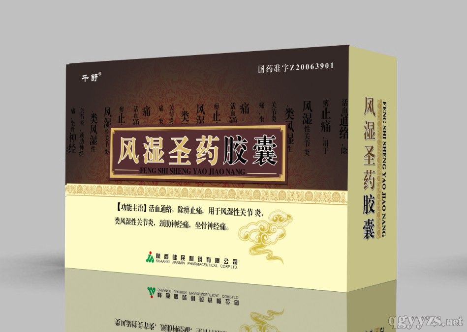 風(fēng)濕圣藥膠囊