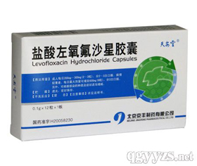 鹽酸左氧氟沙星膠囊