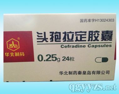 �^�������z��0.25g��24���A����ˎ