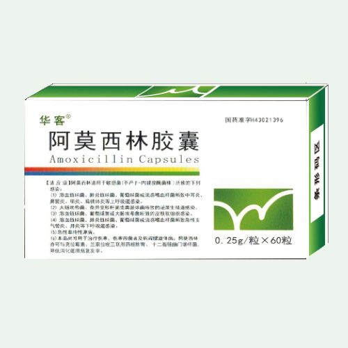 阿莫西林膠囊