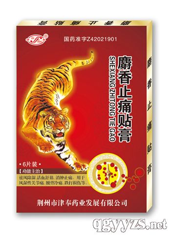 ����ֹʹ�N�ࣨ12�N��