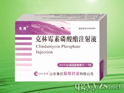 克林霉素磷酸酯注射液