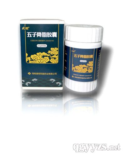 ���ӽ�֬�z��