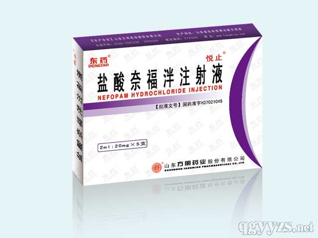 鹽酸奈福泮注射液