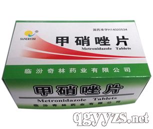 ������Ƭ