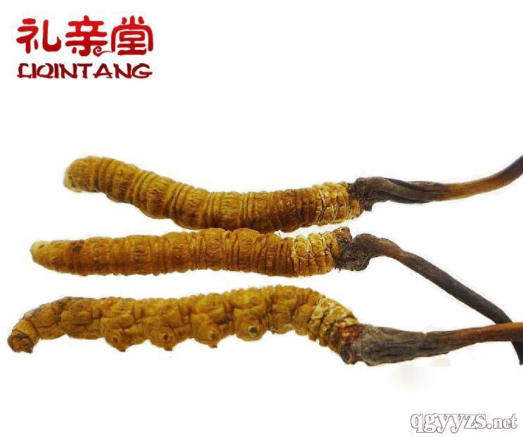 ���x�Ĳ�3�l/��