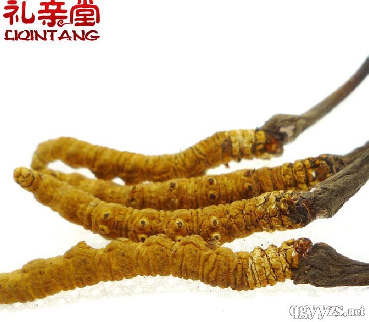 ���x�Ĳ�4�l/��