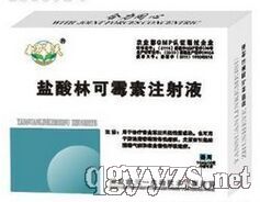 鹽酸林可霉素注射液