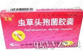 蟲草頭孢菌膠囊