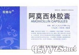 阿莫西林膠囊