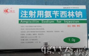 注射用氨芐西林鈉