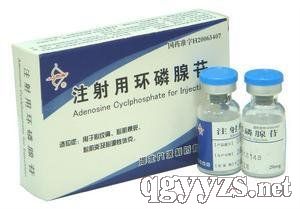 注射用環(huán)磷腺苷