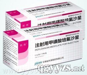 注射用甲磺酸培氟沙星