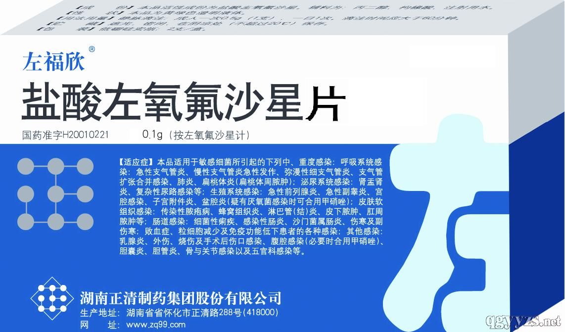 鹽酸左氧氟沙星片