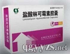 鹽酸林可霉素膠囊