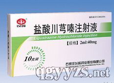 鹽酸川芎嗪注射液