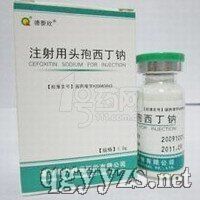 ע�����^�������c