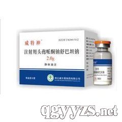 ע�����^����ͪ�c���̹�c